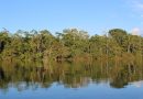 Brasilien: Plan zur Bekämpfung der organisierten Kriminalität im Amazonasgebiet