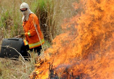 Brände im Eiltempo: São Paulo verzeichnet 2.600 Hotspots in 90 Minuten